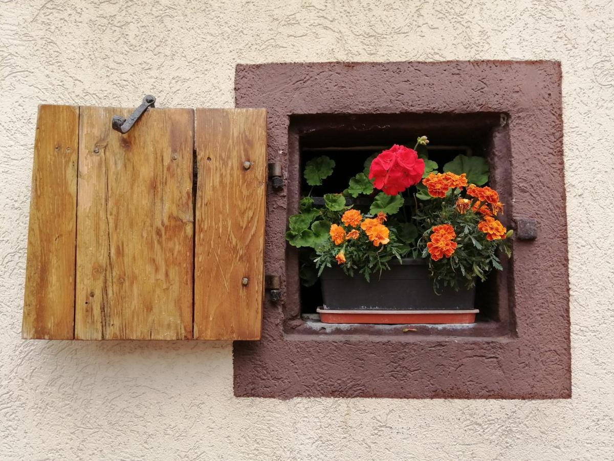 Gite Le Patio Kaysersberg-Vignoble Kültér fotó