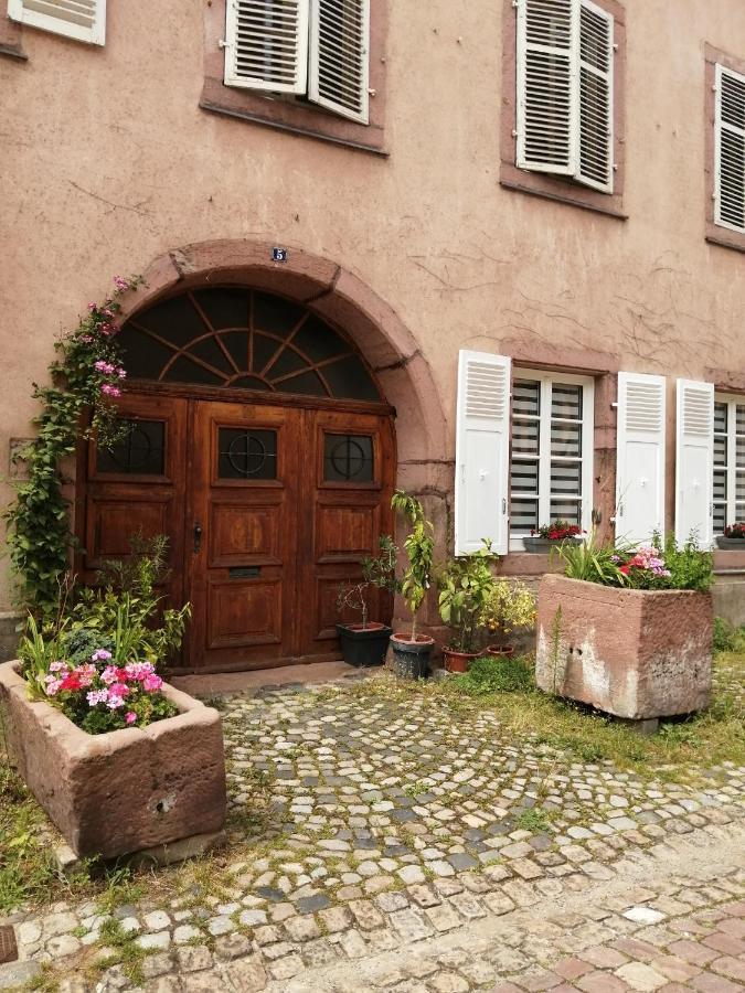 Gite Le Patio Kaysersberg-Vignoble Kültér fotó