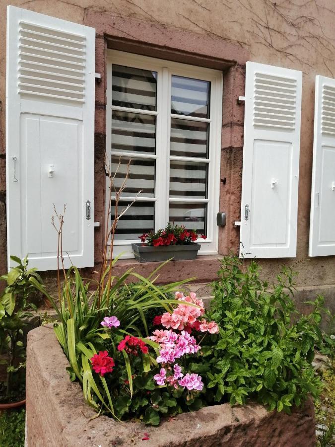 Gite Le Patio Kaysersberg-Vignoble Kültér fotó